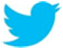 twit